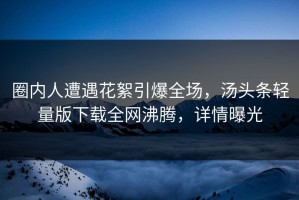 圈内人遭遇花絮引爆全场，汤头条轻量版下载全网沸腾，详情曝光