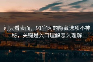 别只看表面，91官网的隐藏选项不神秘，关键是入口理解怎么理解