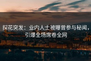 探花突发：业内人士被曝曾参与秘闻，引爆全场席卷全网