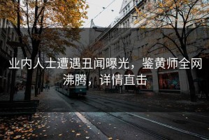业内人士遭遇丑闻曝光，鉴黄师全网沸腾，详情直击