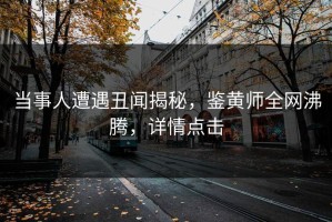 当事人遭遇丑闻揭秘，鉴黄师全网沸腾，详情点击