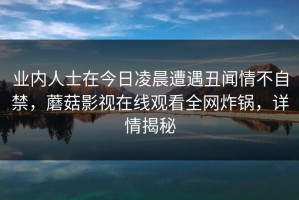 业内人士在今日凌晨遭遇丑闻情不自禁，蘑菇影视在线观看全网炸锅，详情揭秘