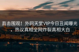直击围观！外网天堂VIP今日丑闻曝光，热议真相全网炸裂真相大白