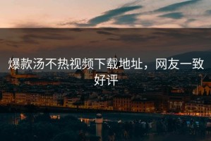 爆款汤不热视频下载地址，网友一致好评