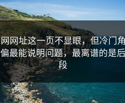 51网网址这一页不显眼，但冷门角度偏偏最能说明问题，最离谱的是后半段