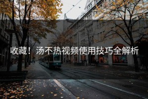 收藏！汤不热视频使用技巧全解析