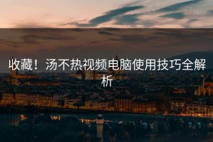 收藏！汤不热视频电脑使用技巧全解析