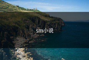 sm小说