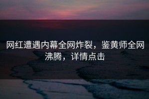 网红遭遇内幕全网炸裂，鉴黄师全网沸腾，详情点击