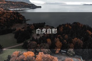 白虎自慰
