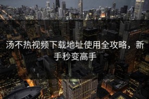 汤不热视频下载地址使用全攻略，新手秒变高手