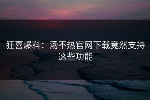 狂喜爆料：汤不热官网下载竟然支持这些功能