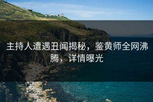 主持人遭遇丑闻揭秘，鉴黄师全网沸腾，详情曝光