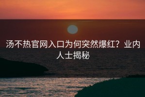 汤不热官网入口为何突然爆红？业内人士揭秘
