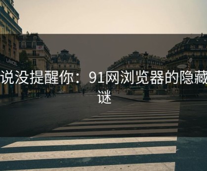 别说没提醒你：91网浏览器的隐藏之谜
