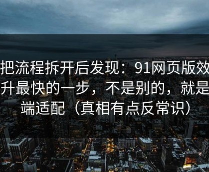 我把流程拆开后发现：91网页版效率提升最快的一步，不是别的，就是多端适配（真相有点反常识）
