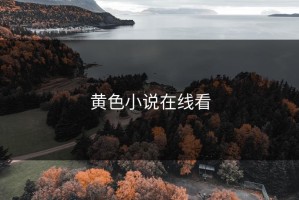 黄色小说在线看