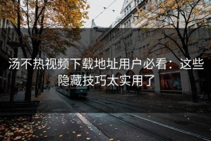 汤不热视频下载地址用户必看：这些隐藏技巧太实用了