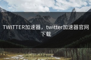 TWITTER加速器，twitter加速器官网下载