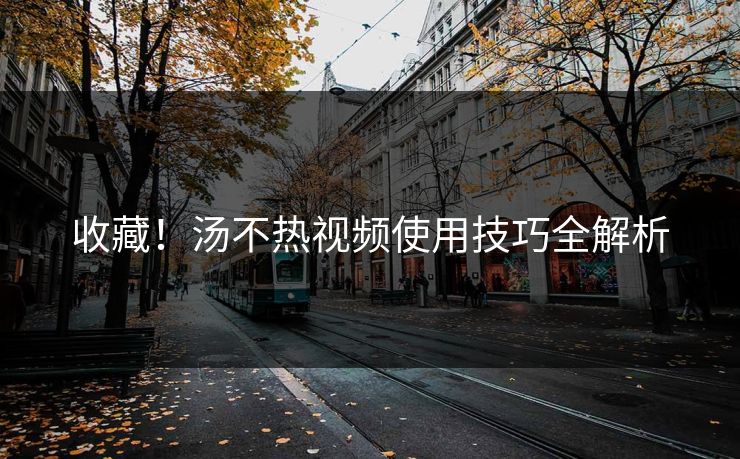 收藏！汤不热视频使用技巧全解析