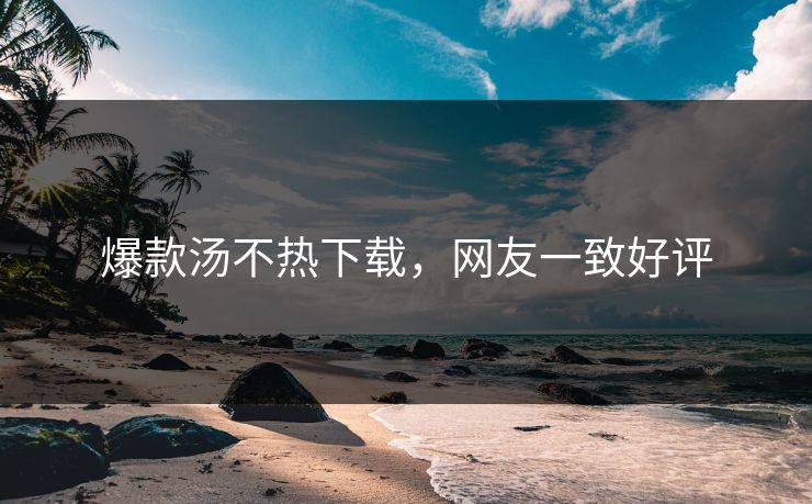 爆款汤不热下载，网友一致好评