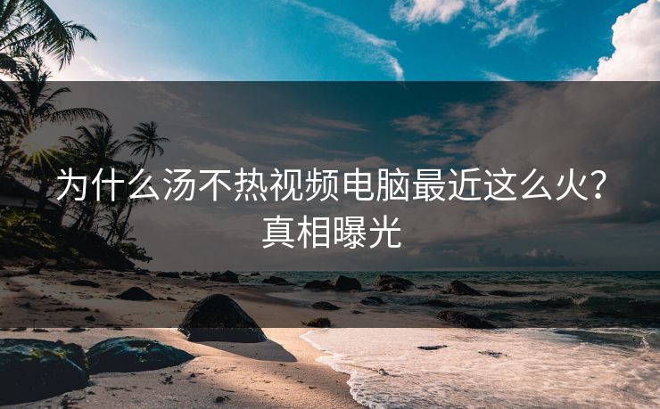 为什么汤不热视频电脑最近这么火？真相曝光
