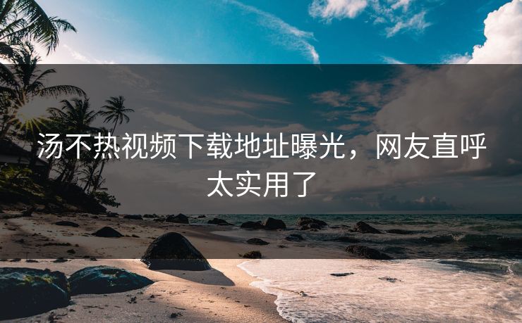 汤不热视频下载地址曝光，网友直呼太实用了