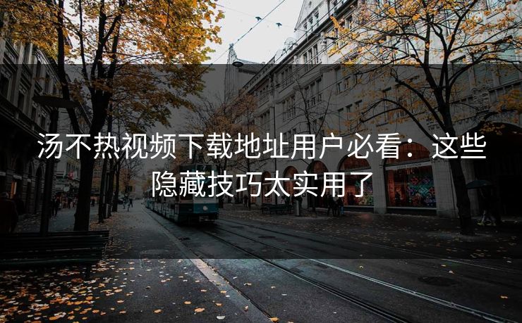汤不热视频下载地址用户必看：这些隐藏技巧太实用了