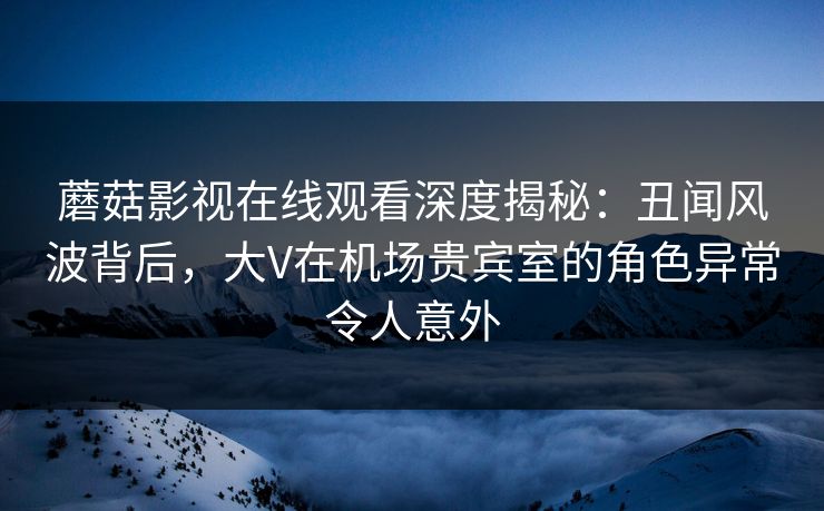 蘑菇影视在线观看深度揭秘：丑闻风波背后，大V在机场贵宾室的角色异常令人意外