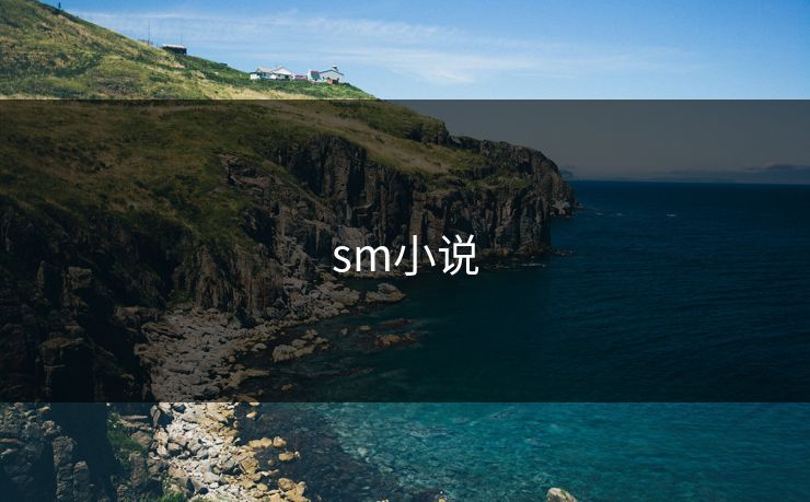 sm小说